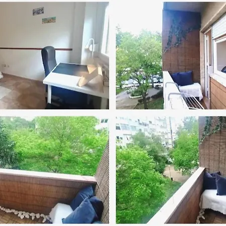 Quartos Em Apartamento Familiar - Temos Cao