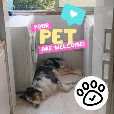 Проживание в семье Private In Shared - Shared Bathroom And Dog Friendly *