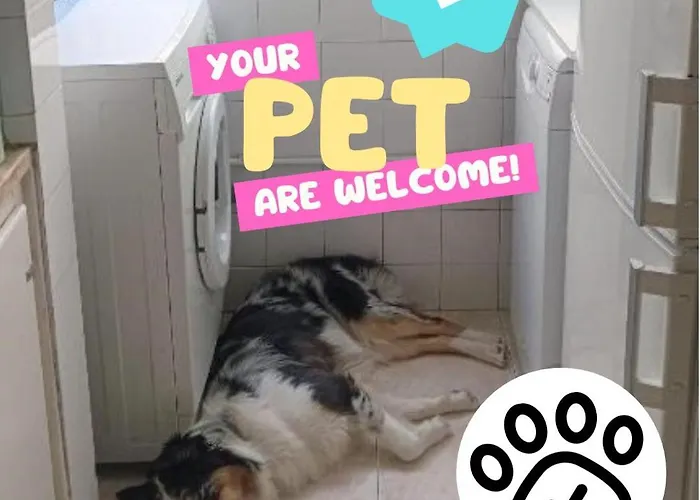 ホームステイ Private In Shared - Shared Bathroom And Dog Friendly *